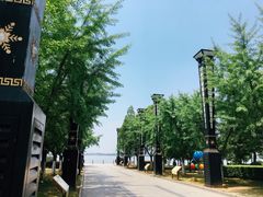 -燕鸣岛