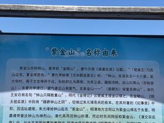 -紫金山山顶公园
