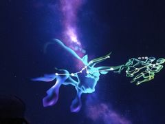 -厦门方特东方神画