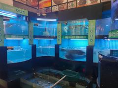 -千岛湖小鱼儿·淳安匠心农家菜