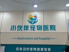 -小伙伴宠物医院·CT·骨科·眼科(高新店)