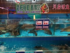 -山河屯铁锅炖(哈西站店)