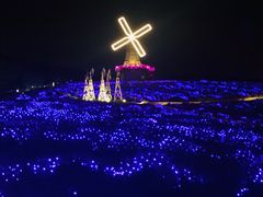 -大塘金香草谷