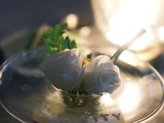 -Hi City·城市之巅