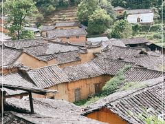 -杨家堂村