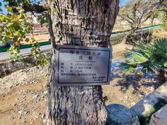 -塔川景区