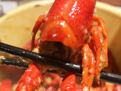 -丹虾|文和友小龙虾·烙锅(陕西路旗舰店)