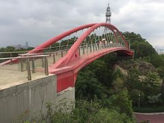 -金鸡山公园