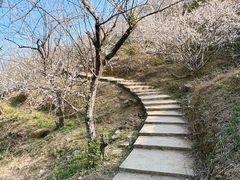 -广州市流溪河国家森林公园