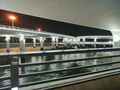 -演武大桥观景平台