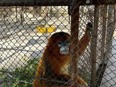 -哈尔滨北方森林动物园