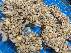 -三亚火车头万人海鲜广场