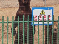-秦皇岛野生动物园