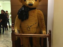 -济州岛泰迪熊博物馆