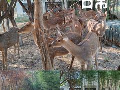 -观唐（国际）度假村温泉