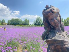 -紫颐香薰山谷景区