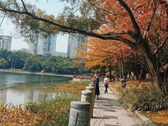 -南宁南湖公园