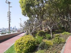 -北外滩滨江绿地