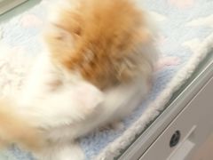 -上海静安大悦城