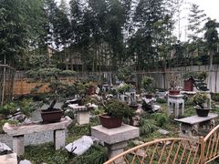 -个园