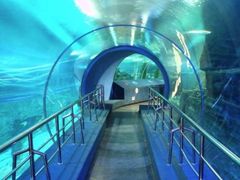 -太平洋海底世界