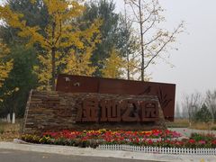 -东郊湿地公园