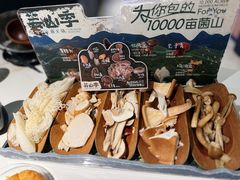 -芸山季·云南山珍菌火锅(南翔印象城MEGA店)