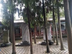-总统兵马大元帅府