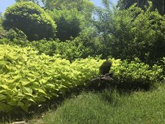 -西安电影制片厂