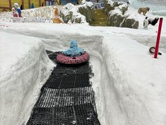 -广州热雪奇迹