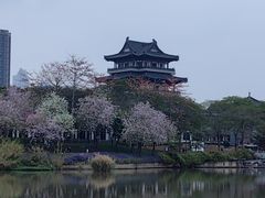 -海珠湖公园