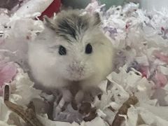 -宠爱我(南山店)