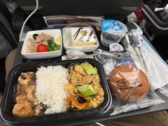 -新加坡航空公司(ION)