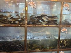 -三道苗苗鱼·美蛙黄辣丁(八里店)