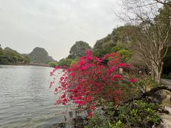 -星湖旅游景区七星岩