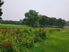 -北京京辉高尔夫俱乐部有限公司