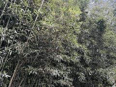 -宣武艺园