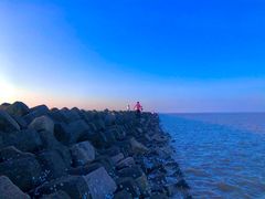 -南汇嘴观海公园