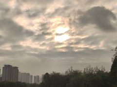 -洋湖国家湿地公园
