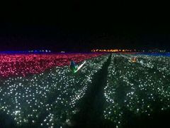 -枫林花海