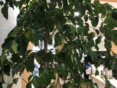 -星巴克(杭州西湖银泰1F店)