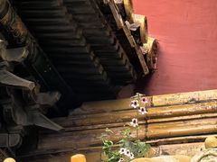 -北京市劳动人民文化宫(太庙)
