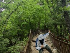 -王顺山国家森林公园