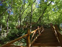 -大岭沟猕猴桃谷风景区