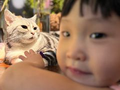 -咖法森林·咖啡  酒吧(天河店)