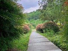 -贵阳市花溪国家城市湿地公园