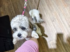 -中农大我爱我爱24h动物医院·中医针灸·猫专科·骨科医疗中心(双井店)