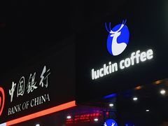 -瑞幸咖啡(广东外经贸大厦店)