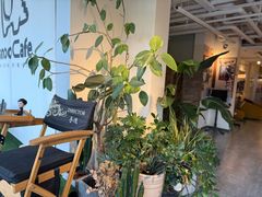 -Dinoo 片场咖啡(酒仙桥店)