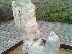-南京市江宁方山